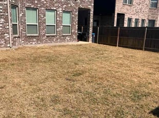 Dustin B.'s turf care service result