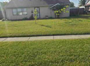 Stacie M.'s lawn care services service result