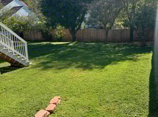 Michael M.'s grass cutting service result