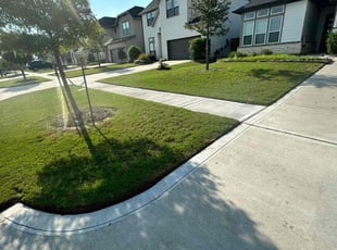 Brad S.'s grass cutting service result