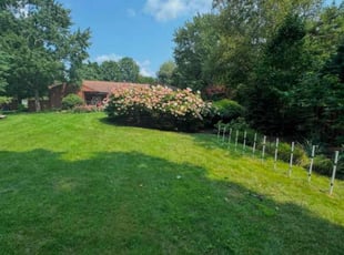Fred b.'s turf maintenance service result