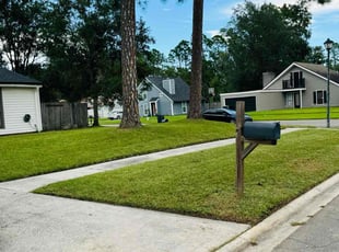 Kurtz D.'s residential landscaping service result