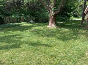 Susan B.'s grass cutting service result