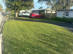 Reguens B.'s grass cutting service result