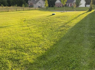 Stef J.'s lawn service service result