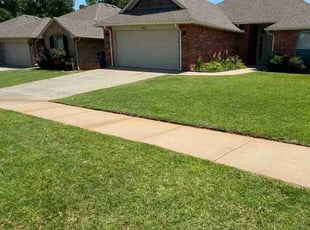 Gelacio G.'s lawn care service result