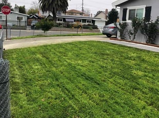 Yvonne L.'s grass cutting service result