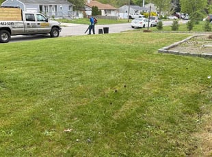Nikeshia L.'s turf maintenance service result