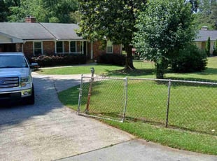 Theodore P.'s lawn maintenance service result