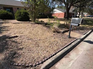 Amanda M.'s lawn care service result