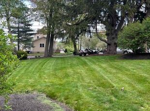 Meka W.'s lawn care service result