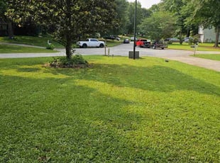 Richard G.'s turf care service result