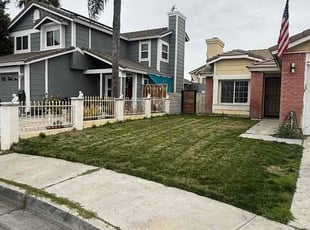 Martha M.'s turf maintenance service result