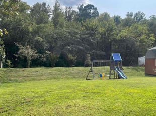 Shelia L.'s lawn care service result