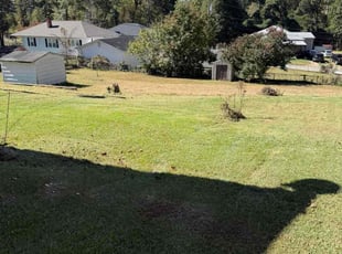 Gene G.'s turf care service result