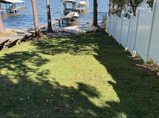 Boushelle P.'s grass maintenance service result