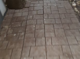 Angel V.'s Leaf Removal service result