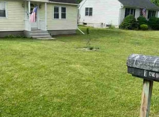 Eileen W.'s lawn care services service result