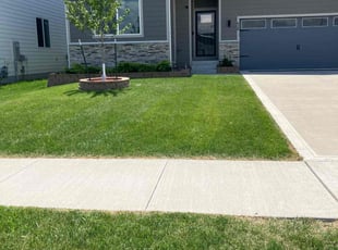 Lisa H.'s lawn care services service result