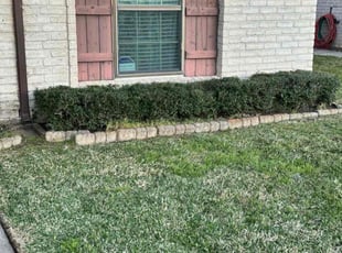 Christopher A.'s Bush Trimming service result