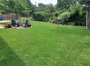 Zach E.'s grass maintenance service result