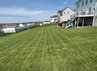 Rahima M.'s lawn service service result