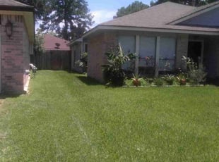 APRIL P.'s lawn care service result