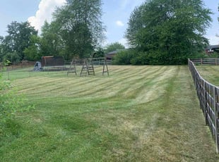 Madison T.'s lawn care service result