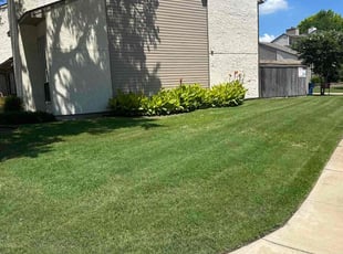 Leslie S.'s lawn maintenance service result