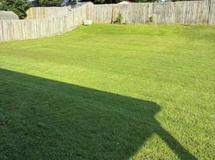 Patrick H.'s turf care service result
