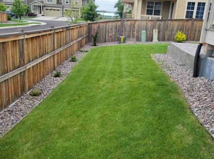 Julia R.'s turf maintenance service result