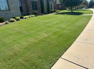 Michael L.'s grass maintenance service result