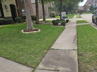 Ed T.'s lawn maintenance service result