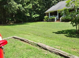 Amanda M.'s grass cutting service result