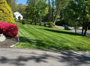 Christine R.'s lawn care service result