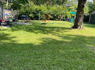 Deshawn M.'s lawn care service result