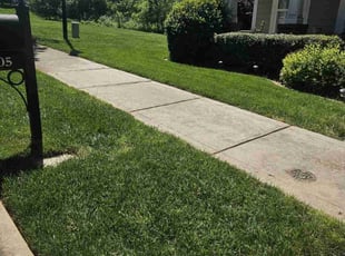 B. W.'s lawn maintenance service result