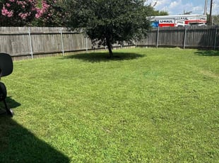 Ben R.'s lawn care service result