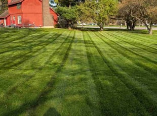 Alec H.'s lawn care services service result