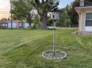 Nicholas V.'s grass cutting service result