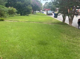 Farrin G.'s lawn care service result