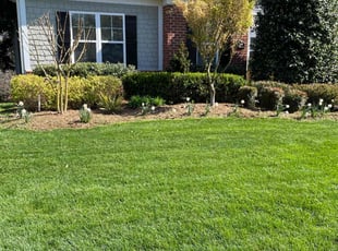 Ryan K.'s lawn care service result