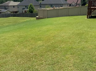 Edward G.'s lawn care services service result