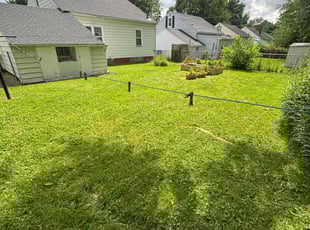 Barbara B.'s grass maintenance service result