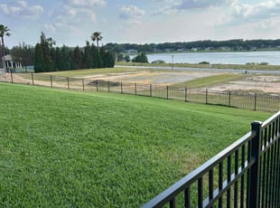 Patresa T.'s grass cutting service result