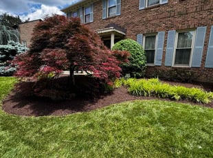 Marta P.'s Mulching service result