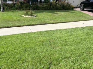 Susan S.'s grass cutting service result