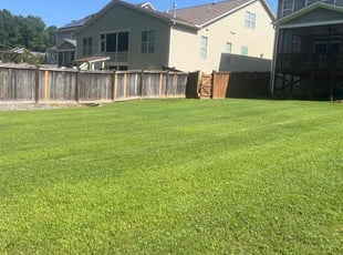 Aslin H.'s lawn care services service result