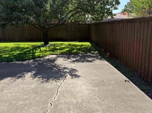 Michael J.'s turf maintenance service result