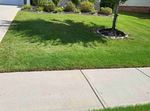 Kim L.'s lawn maintenance service result
